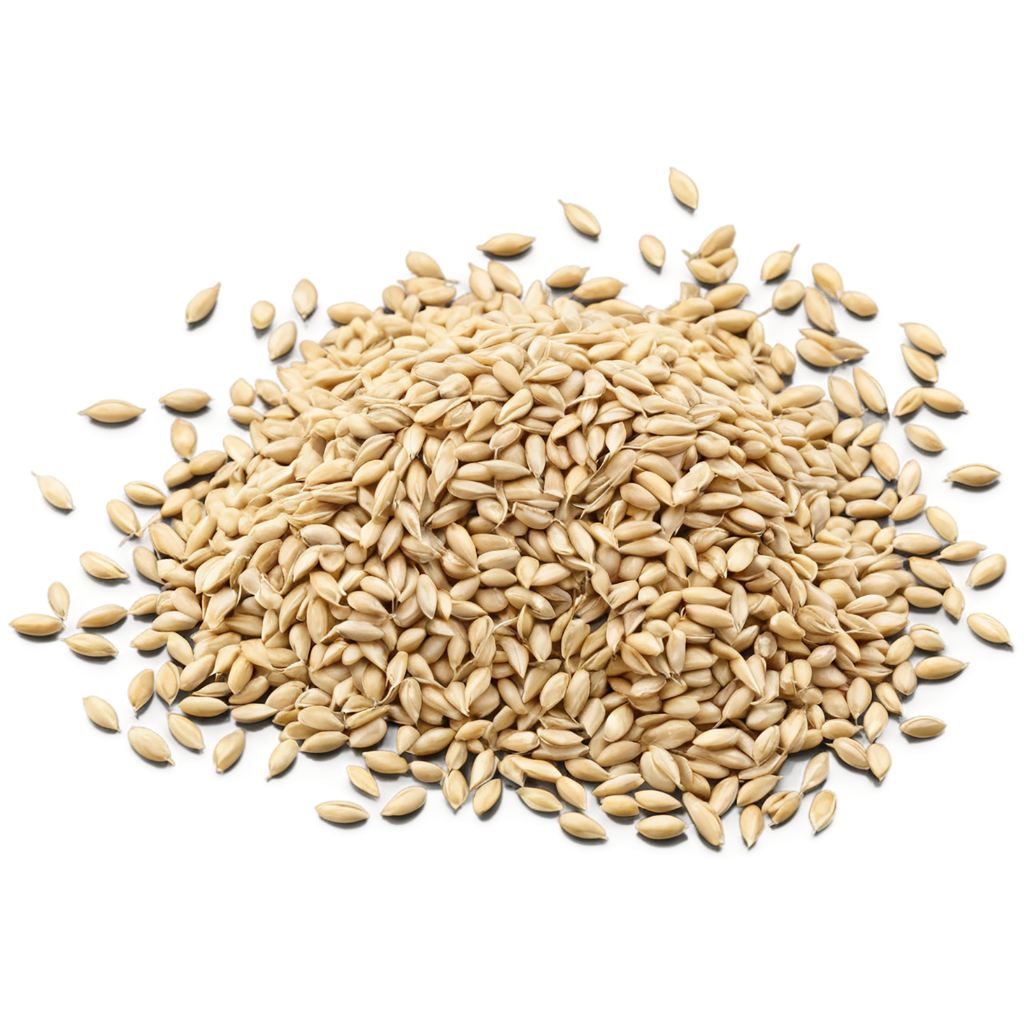 Wheat grains isolated on transparent background #5325