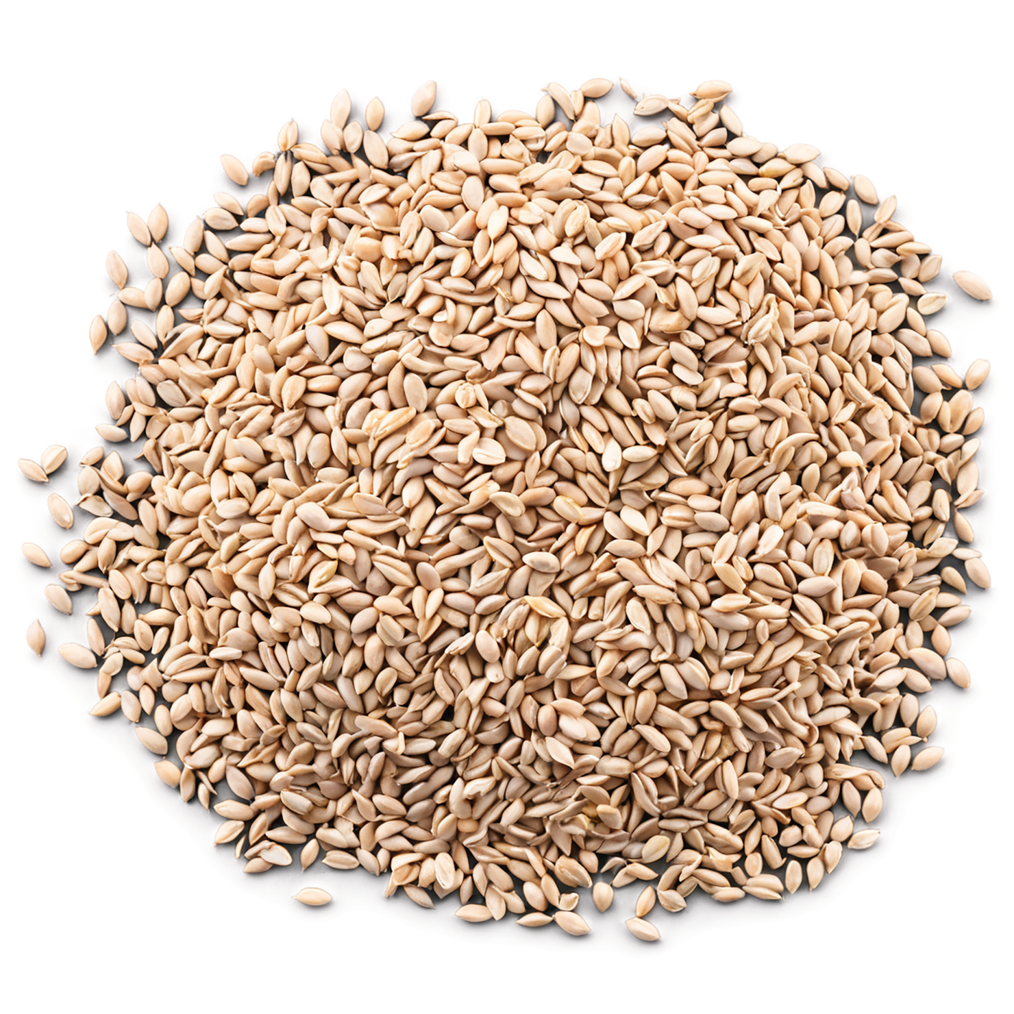 Wheat grains isolated on transparent background #5348