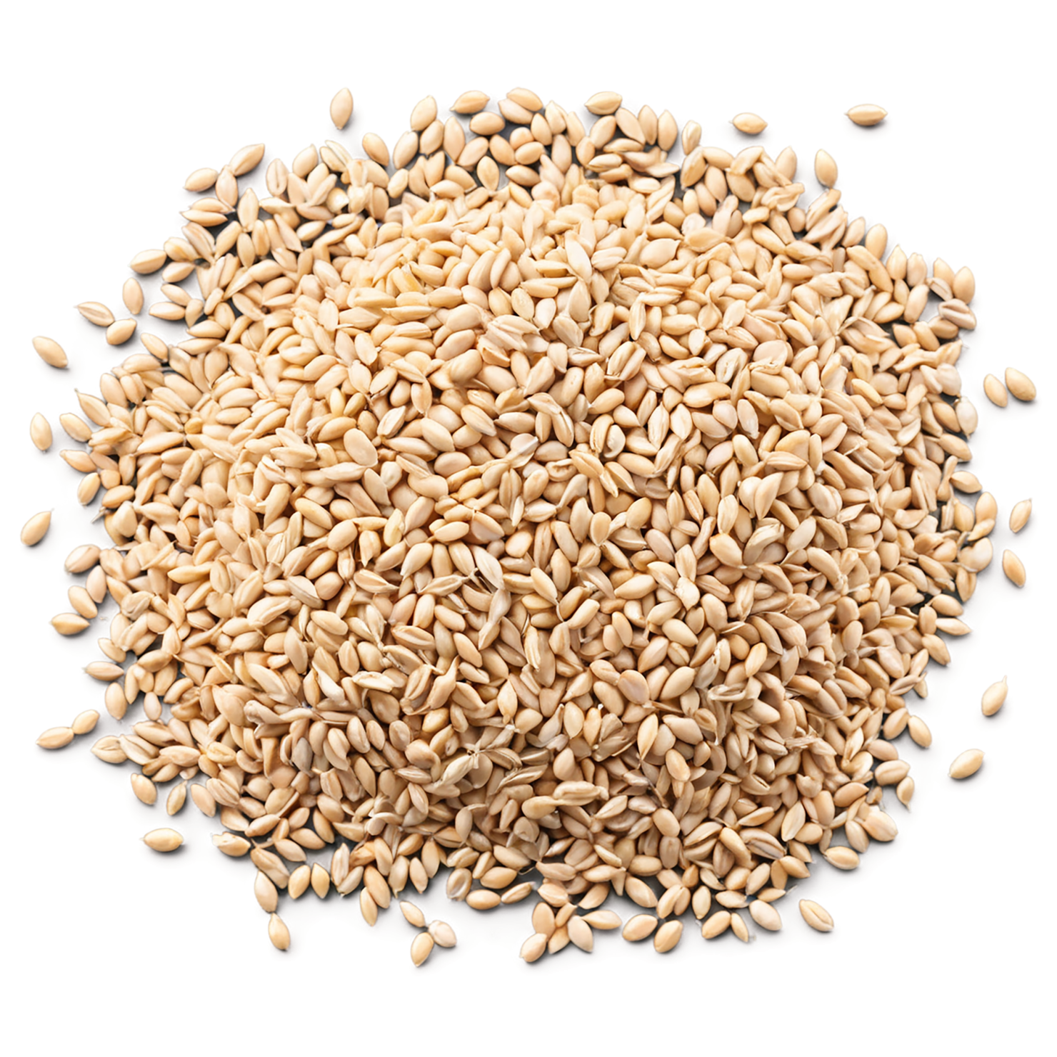 Wheat grains isolated on transparent background #5350