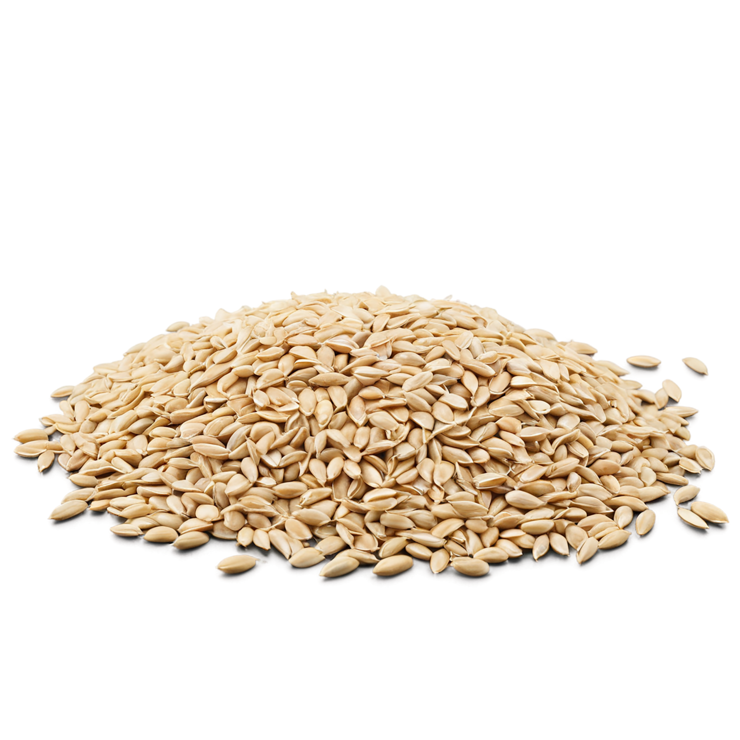 Wheat grains isolated on transparent background #5351