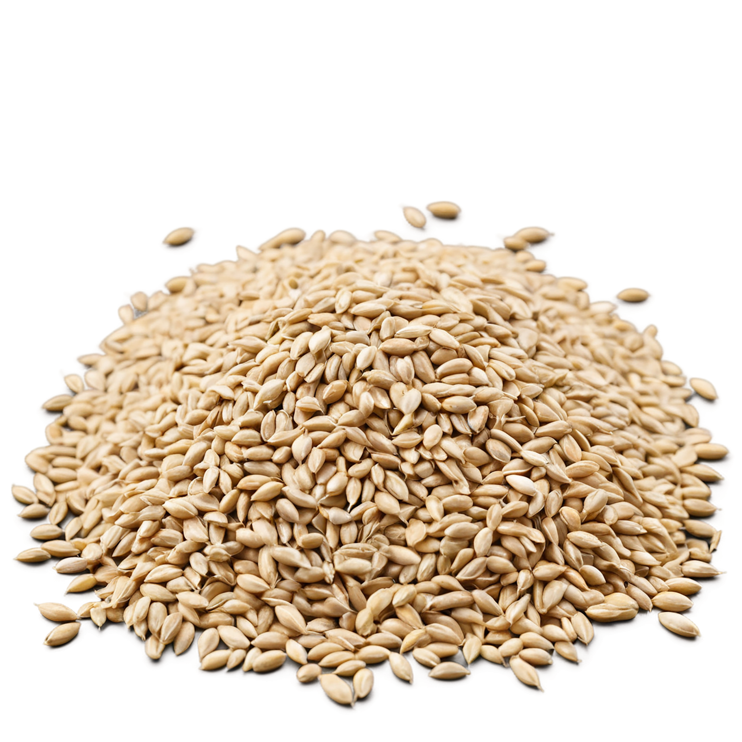 Wheat grains isolated on transparent background #5355