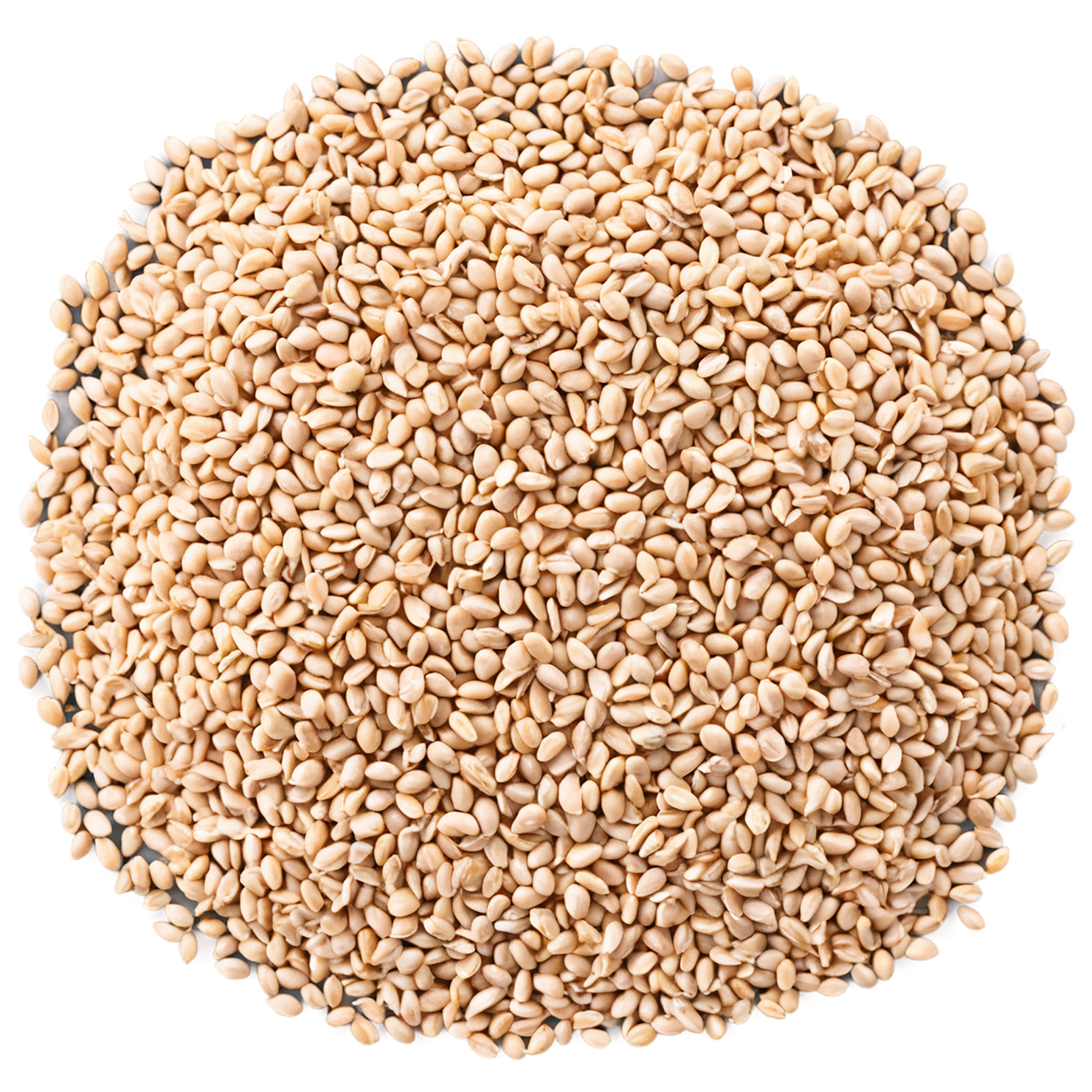 Wheat grains isolated on transparent background #5356