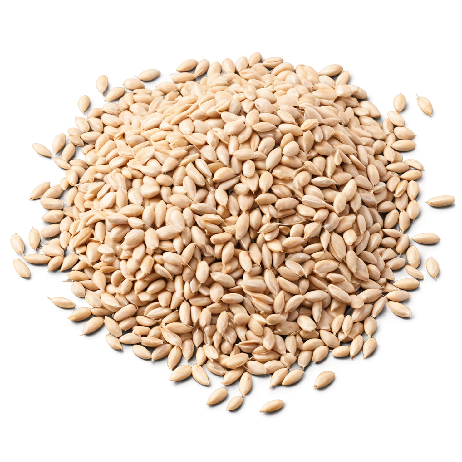 Wheat grains isolated on transparent background #5361