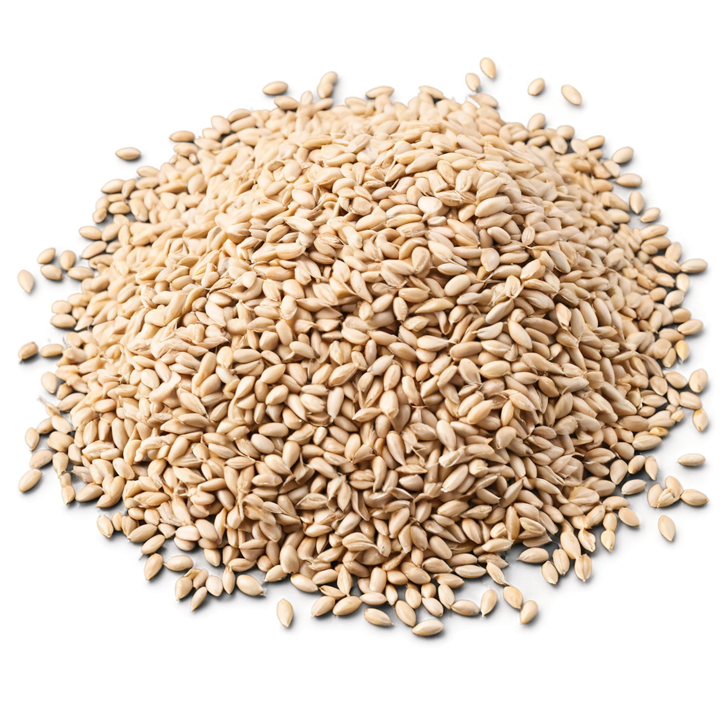 Wheat grains isolated on transparent background #5367
