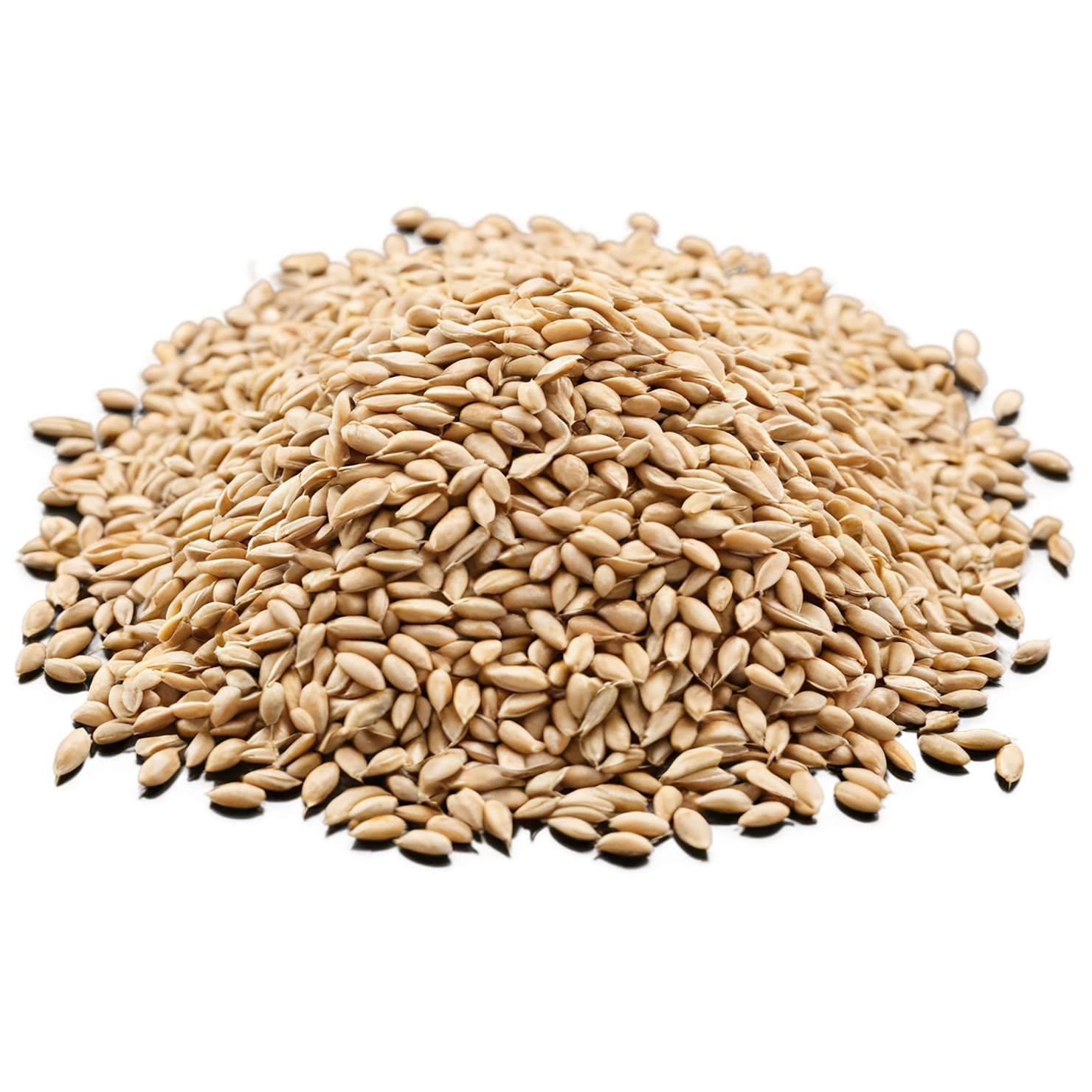 Wheat grains isolated on transparent background #5370