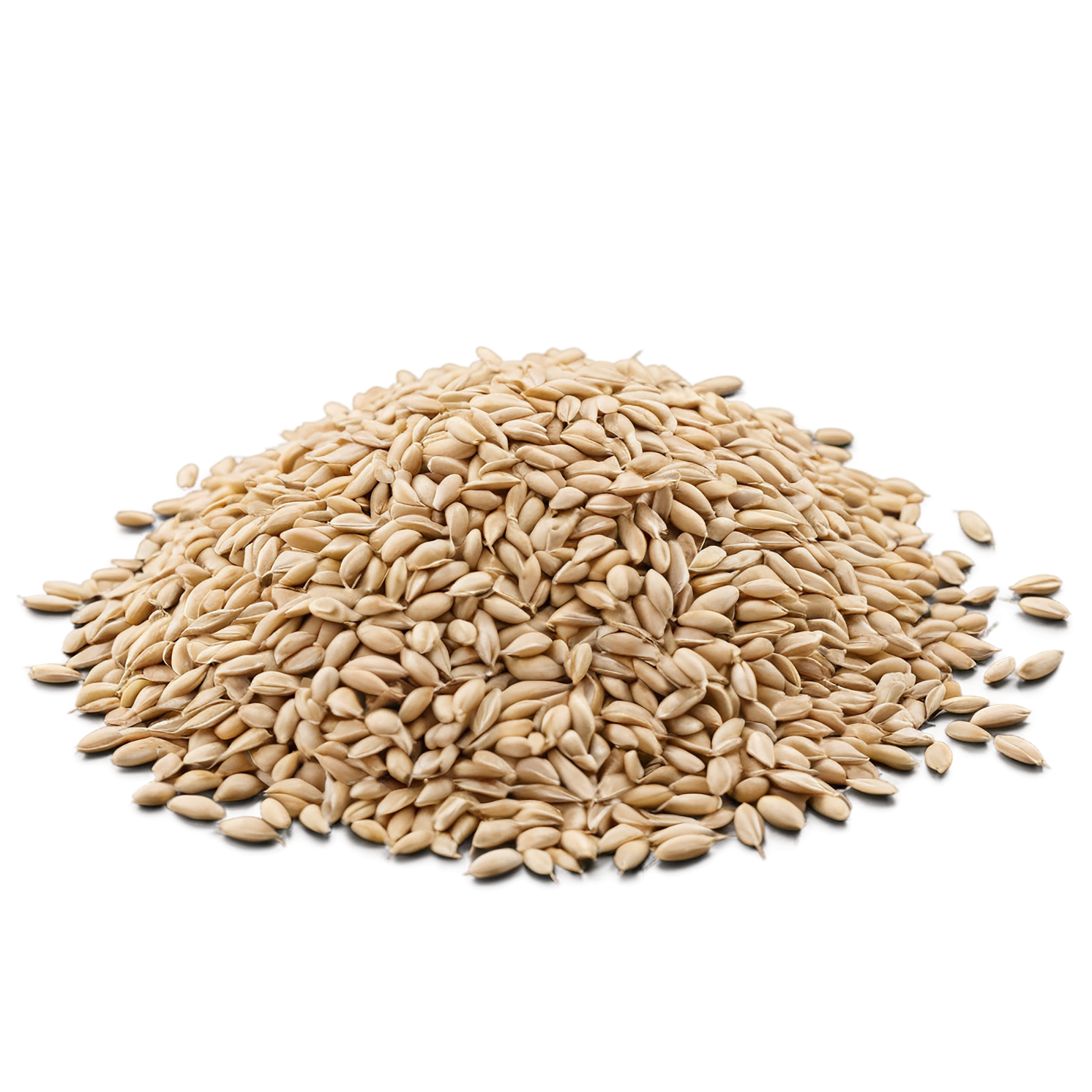 Wheat grains isolated on transparent background #5382