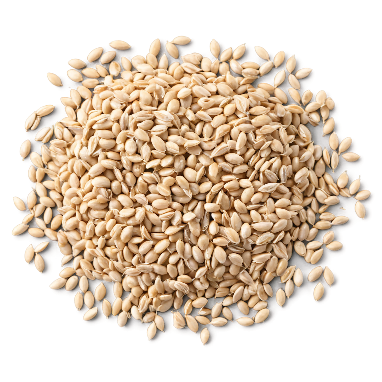 Wheat grains isolated on transparent background #5394