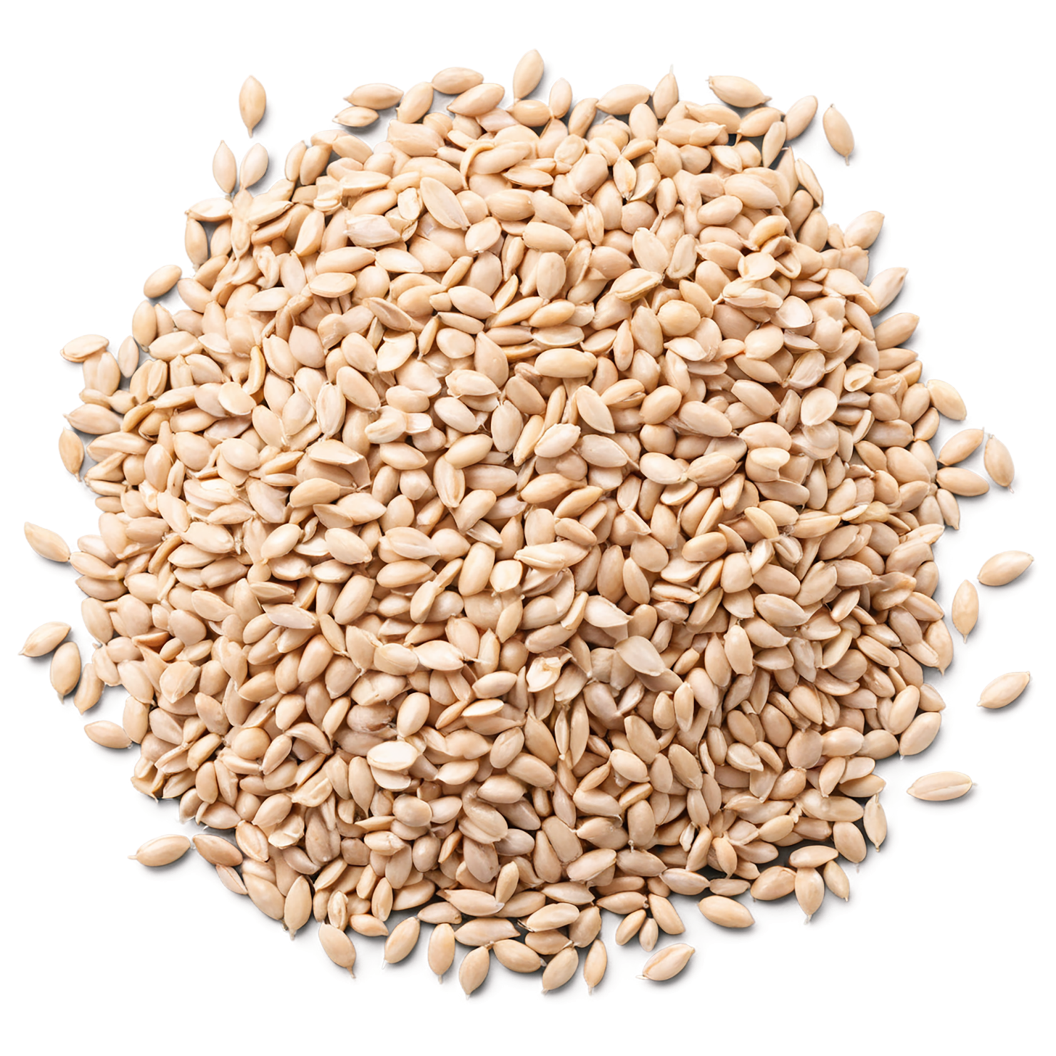 Wheat grains isolated on transparent background #5401