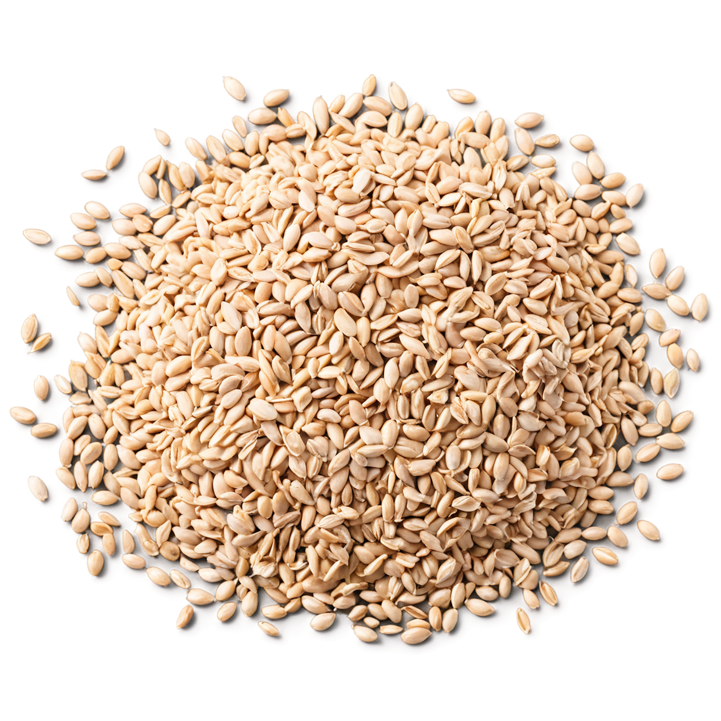 Wheat grains isolated on transparent background #5404