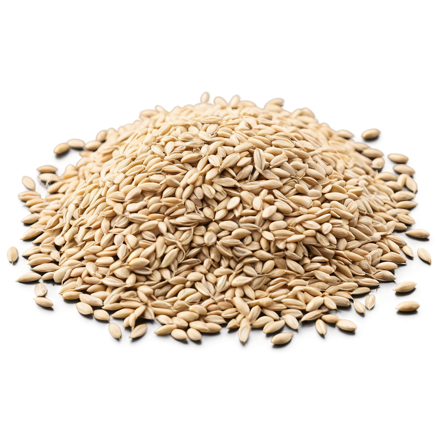Wheat grains isolated on transparent background #5405