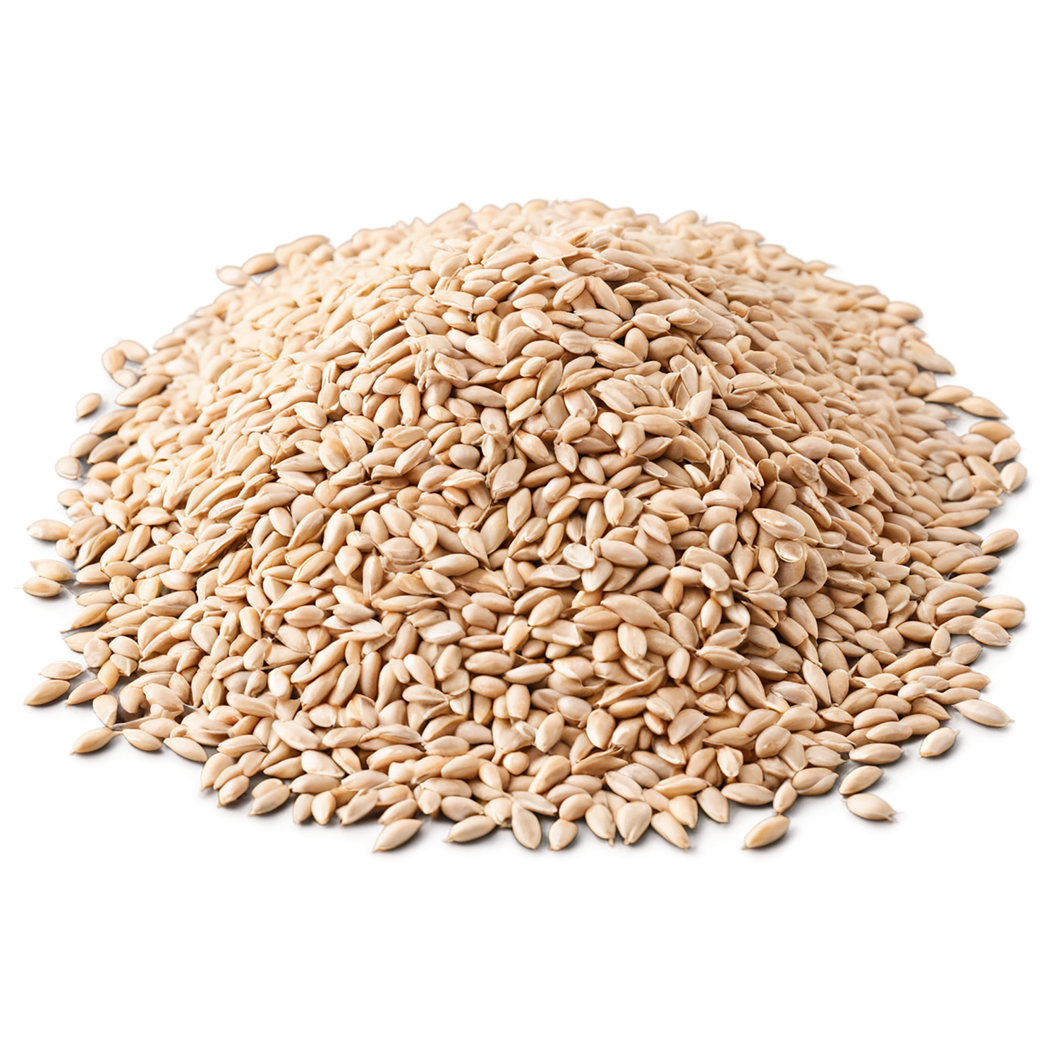 Wheat grains isolated on transparent background #5409