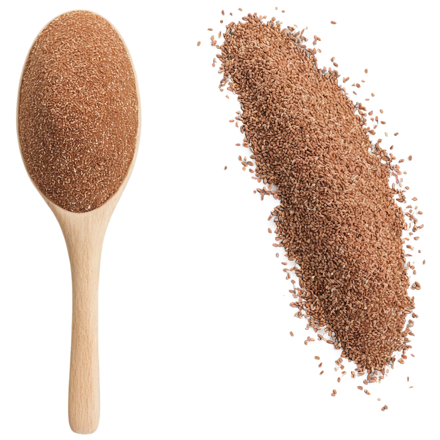 Teff grains isolated on transparent background #5412