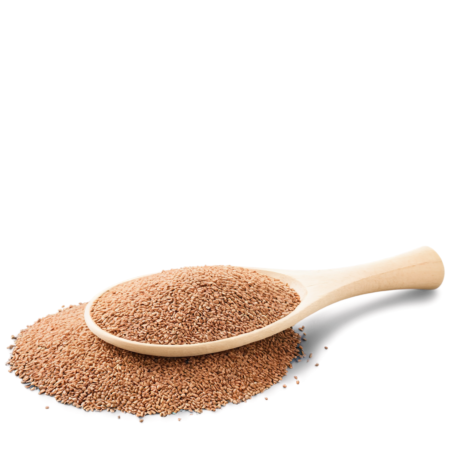 Teff grains isolated on transparent background #5413