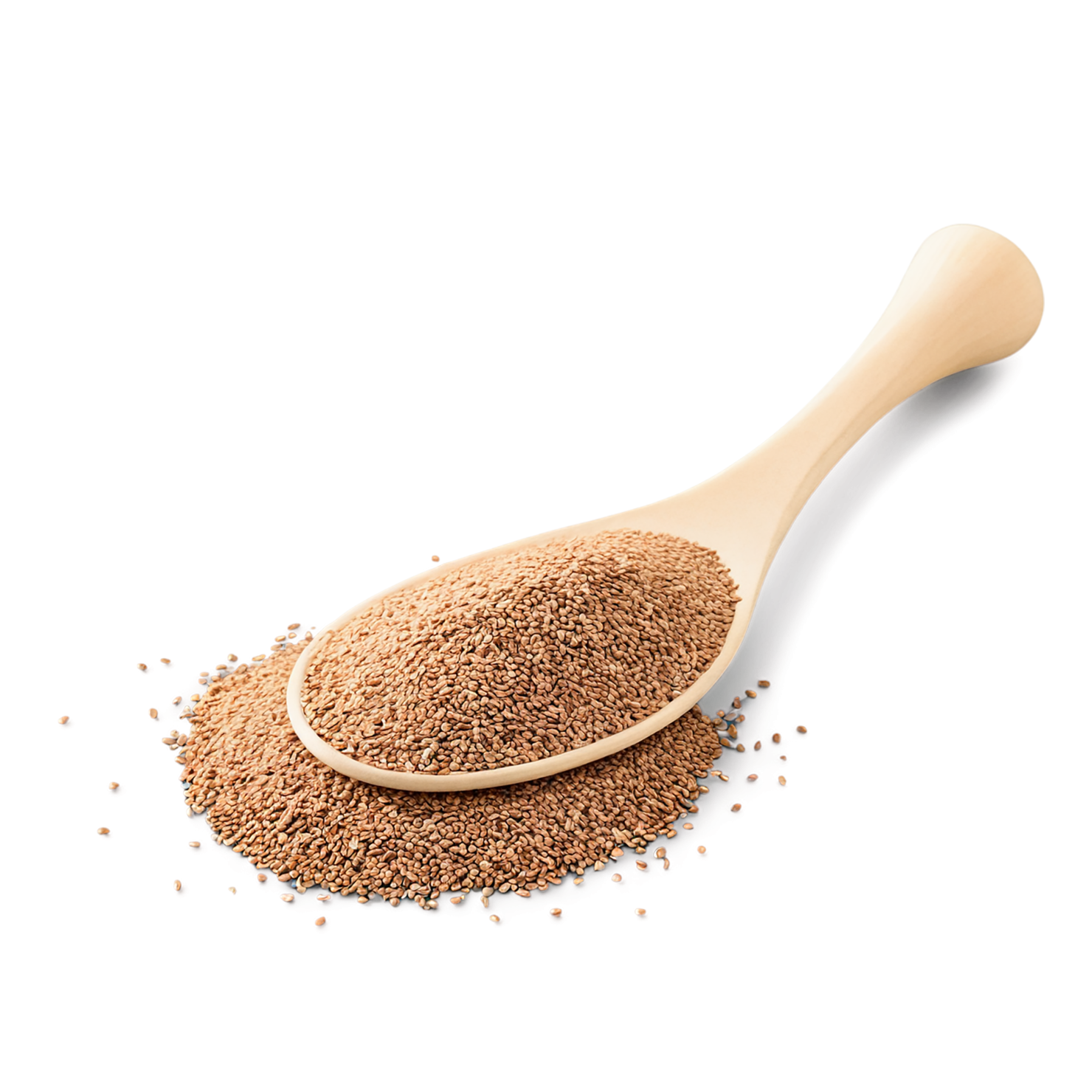 Teff grains isolated on transparent background #5426