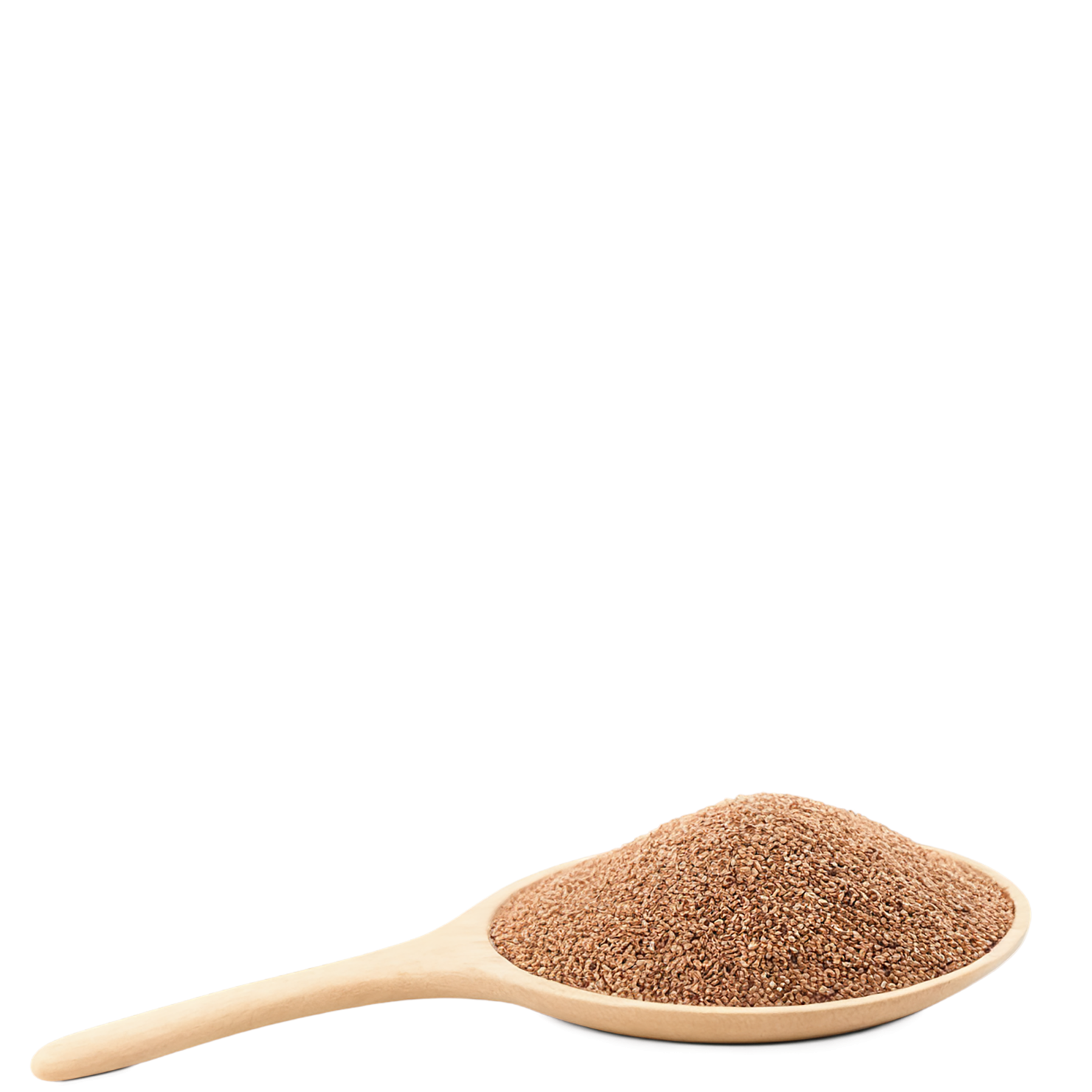 Teff grains isolated on transparent background #5428