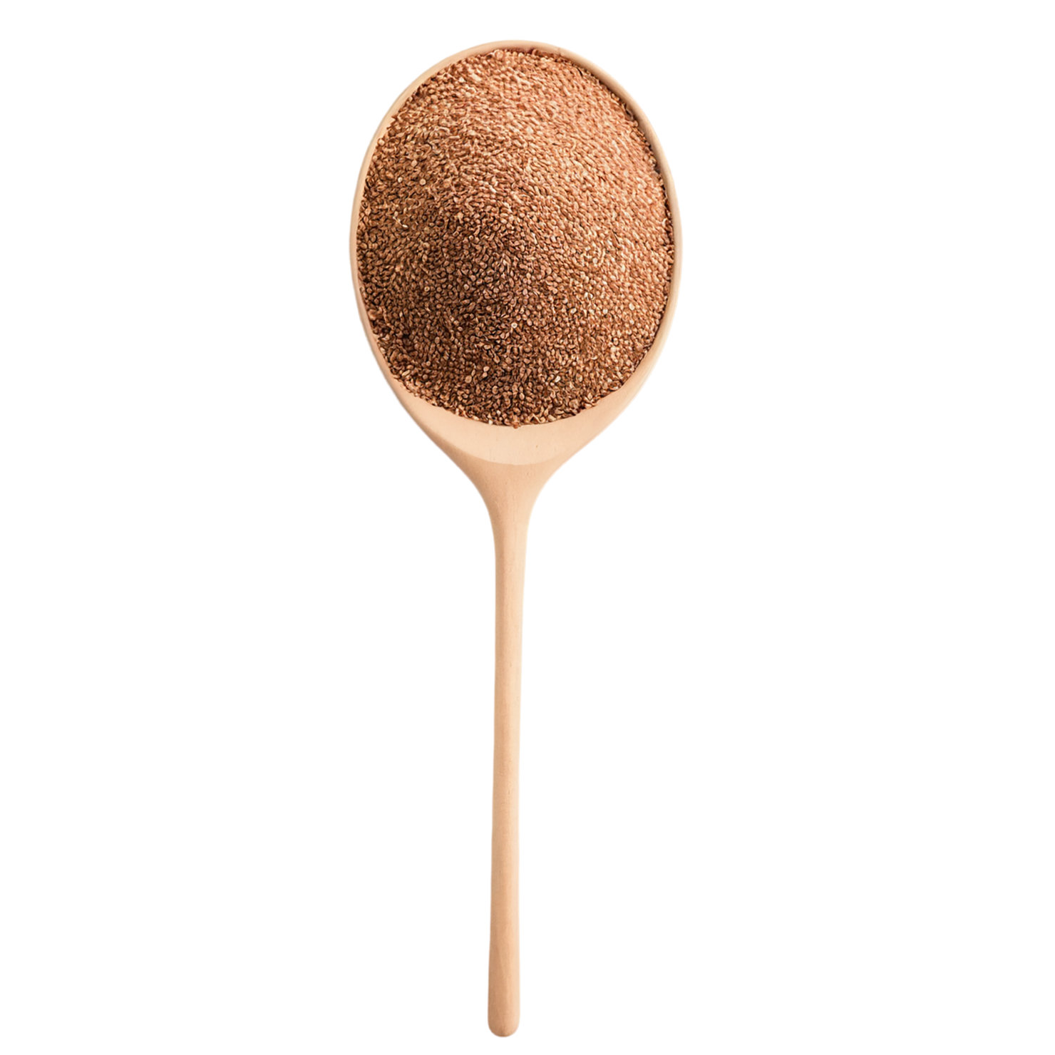 Teff grains isolated on transparent background #5436