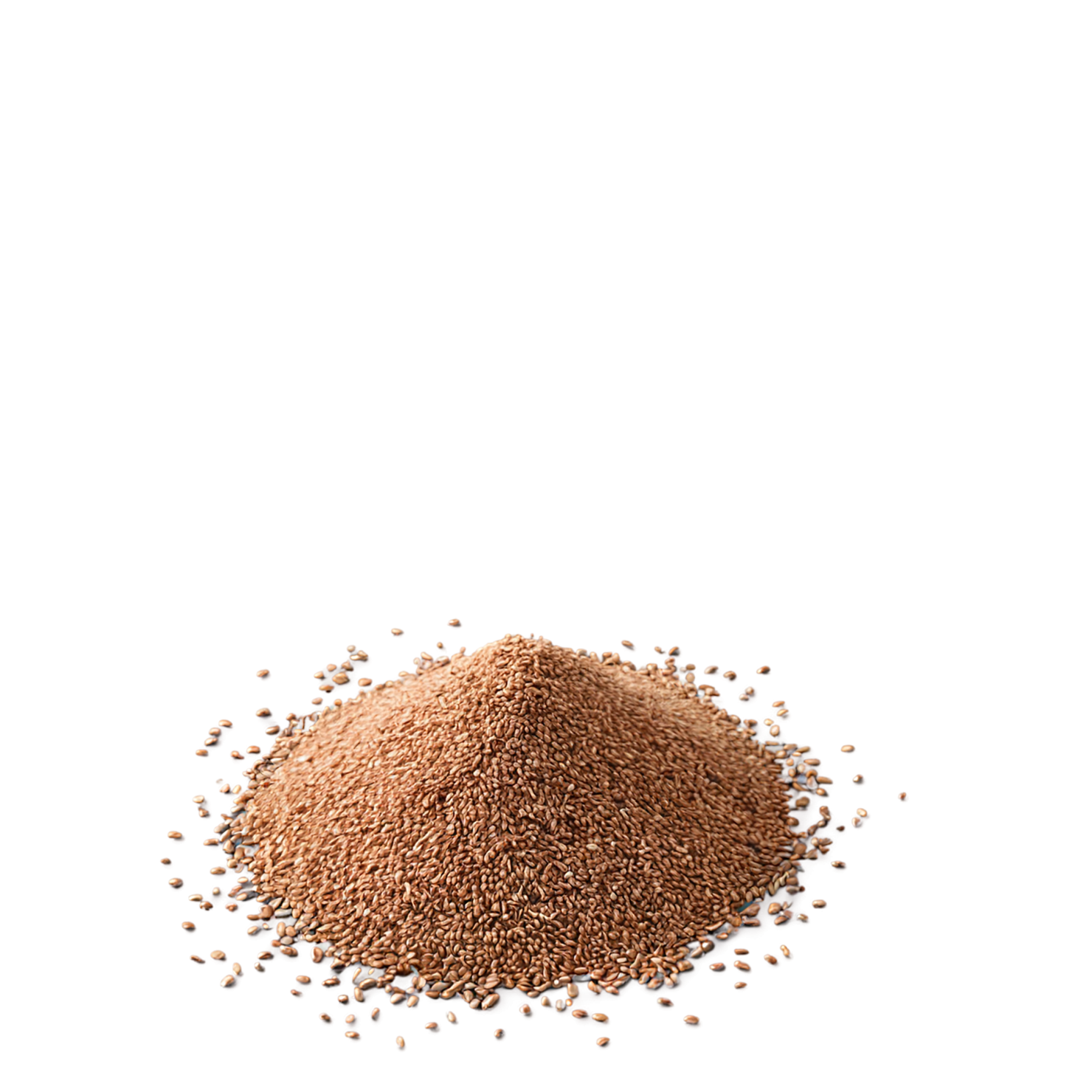 Teff grains isolated on transparent background #5442