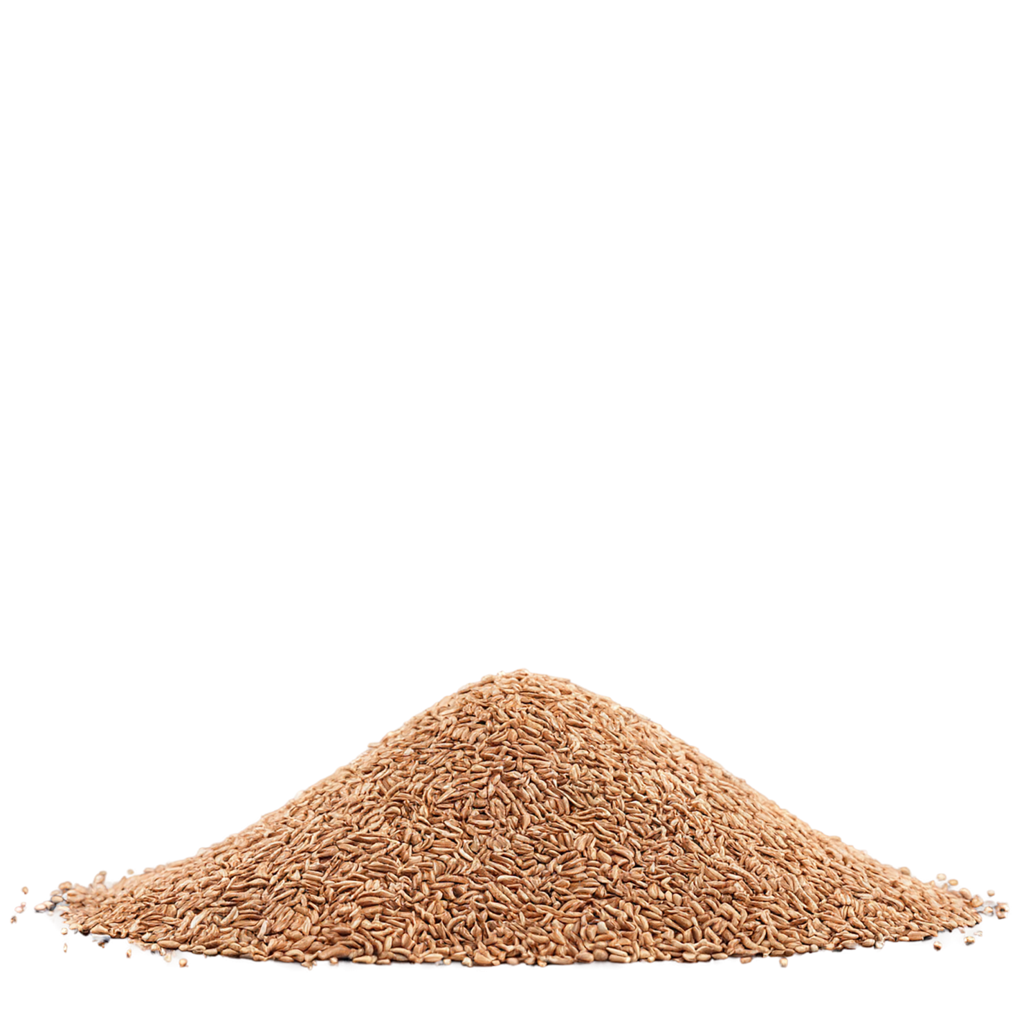 Teff grains isolated on transparent background #5443