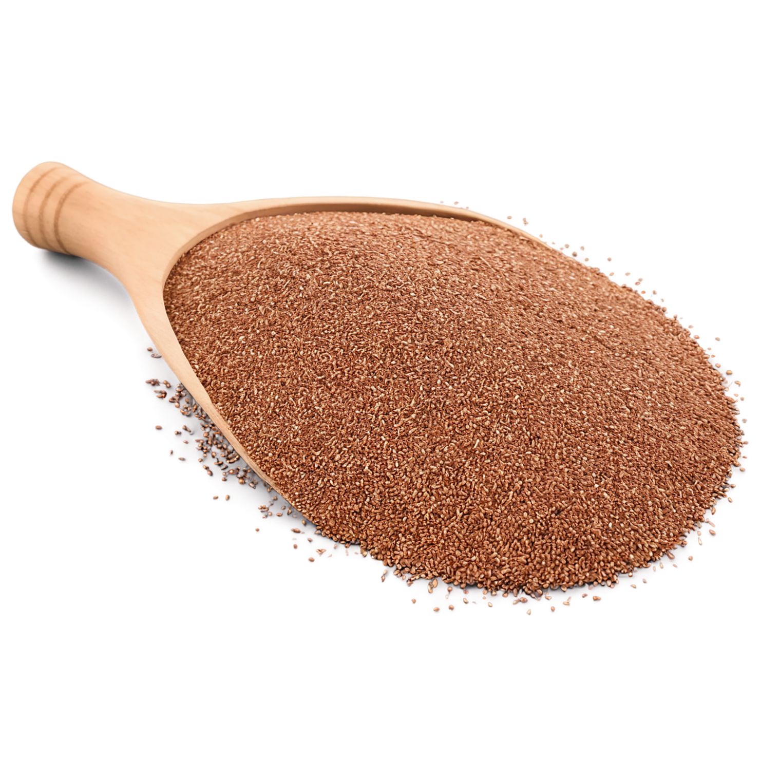 Teff grains isolated on transparent background #5446