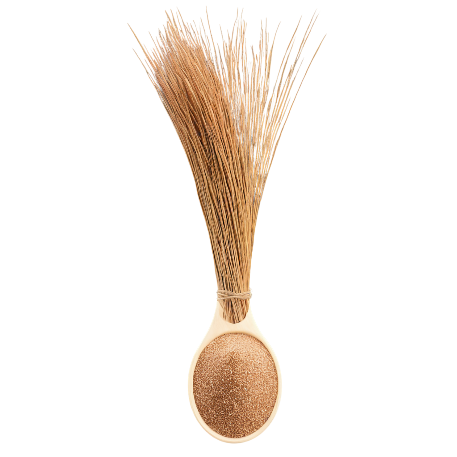 Teff grains isolated on transparent background #5447