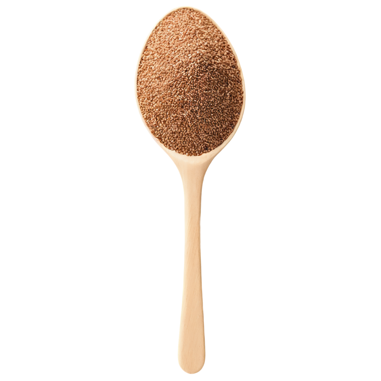 Teff grains isolated on transparent background #5449