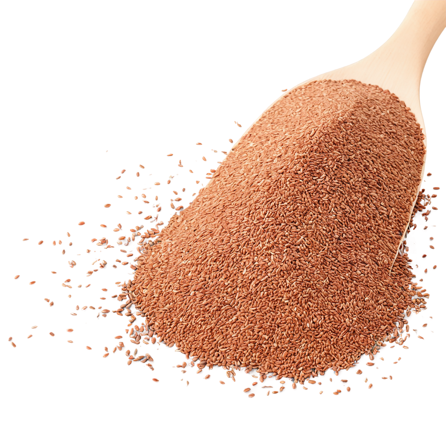 Teff grains isolated on transparent background #5450