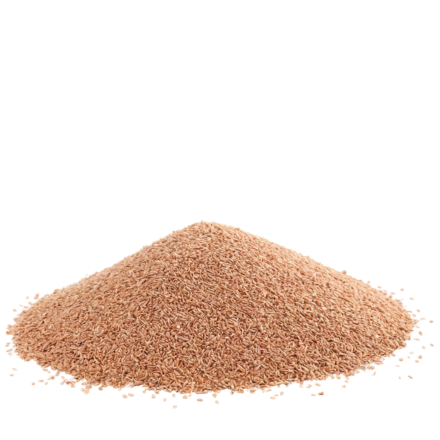 Teff grains isolated on transparent background #5451