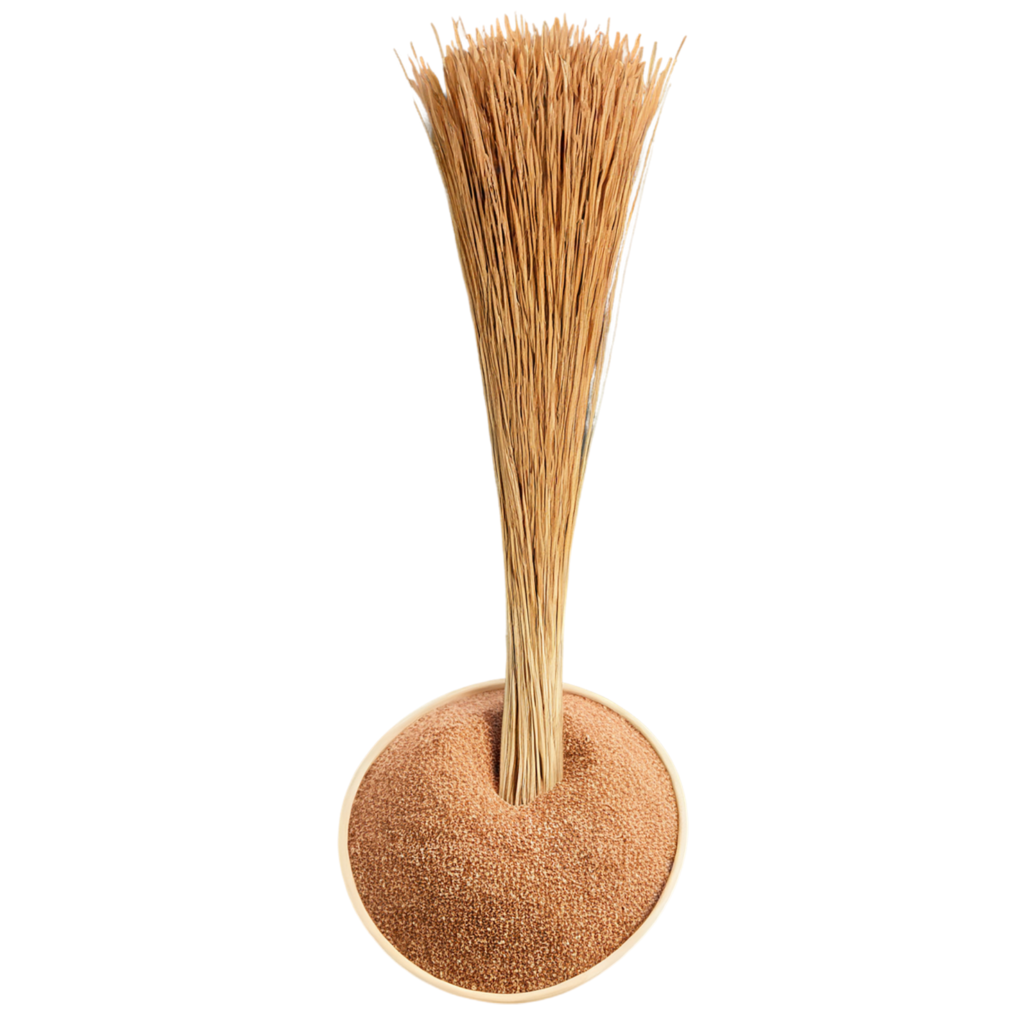 Teff grains isolated on transparent background #5458