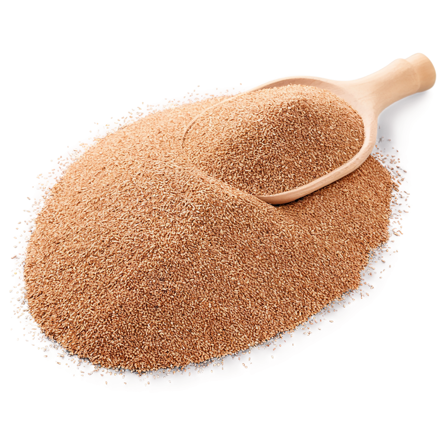 Teff grains isolated on transparent background #5459