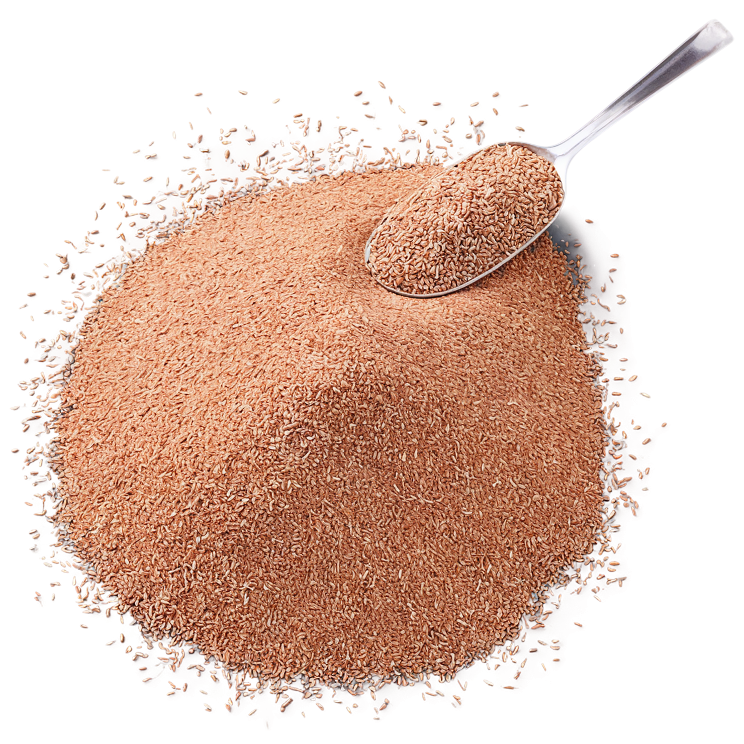 Teff grains isolated on transparent background #5462