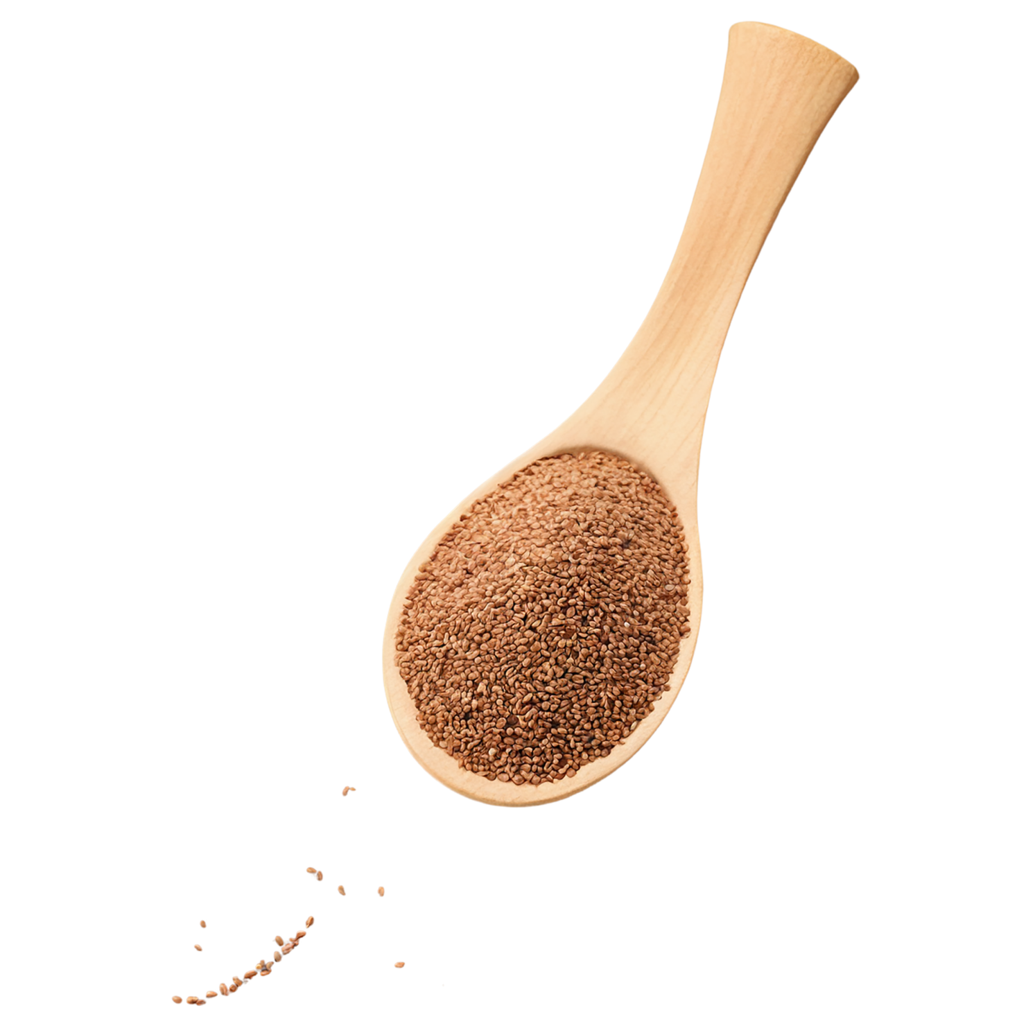 Teff grains isolated on transparent background #5463