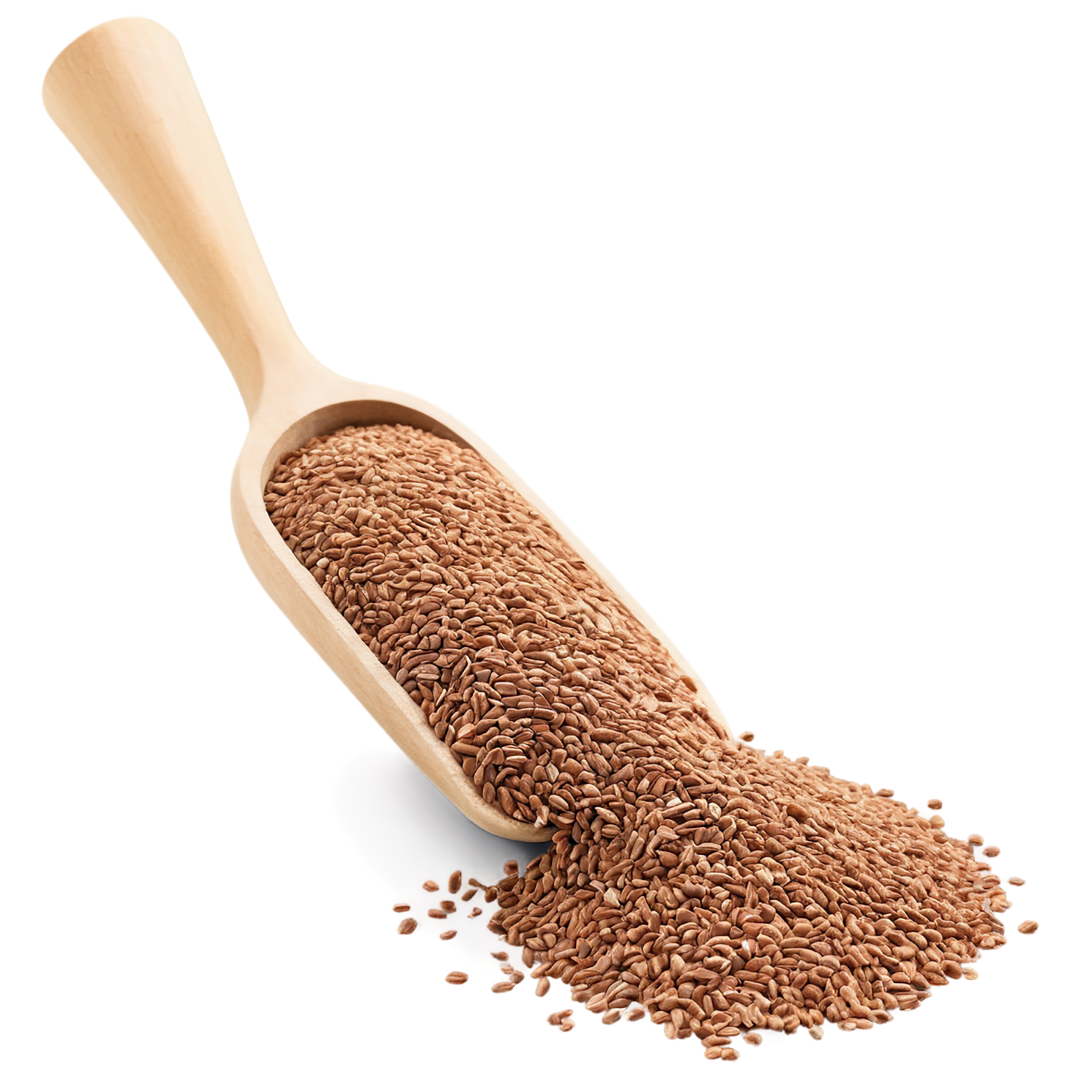 Teff grains isolated on transparent background #5470