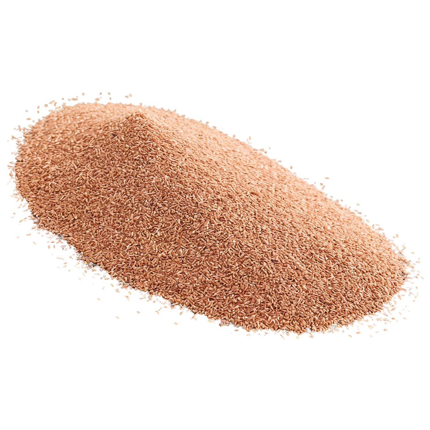 Teff grains isolated on transparent background #5481