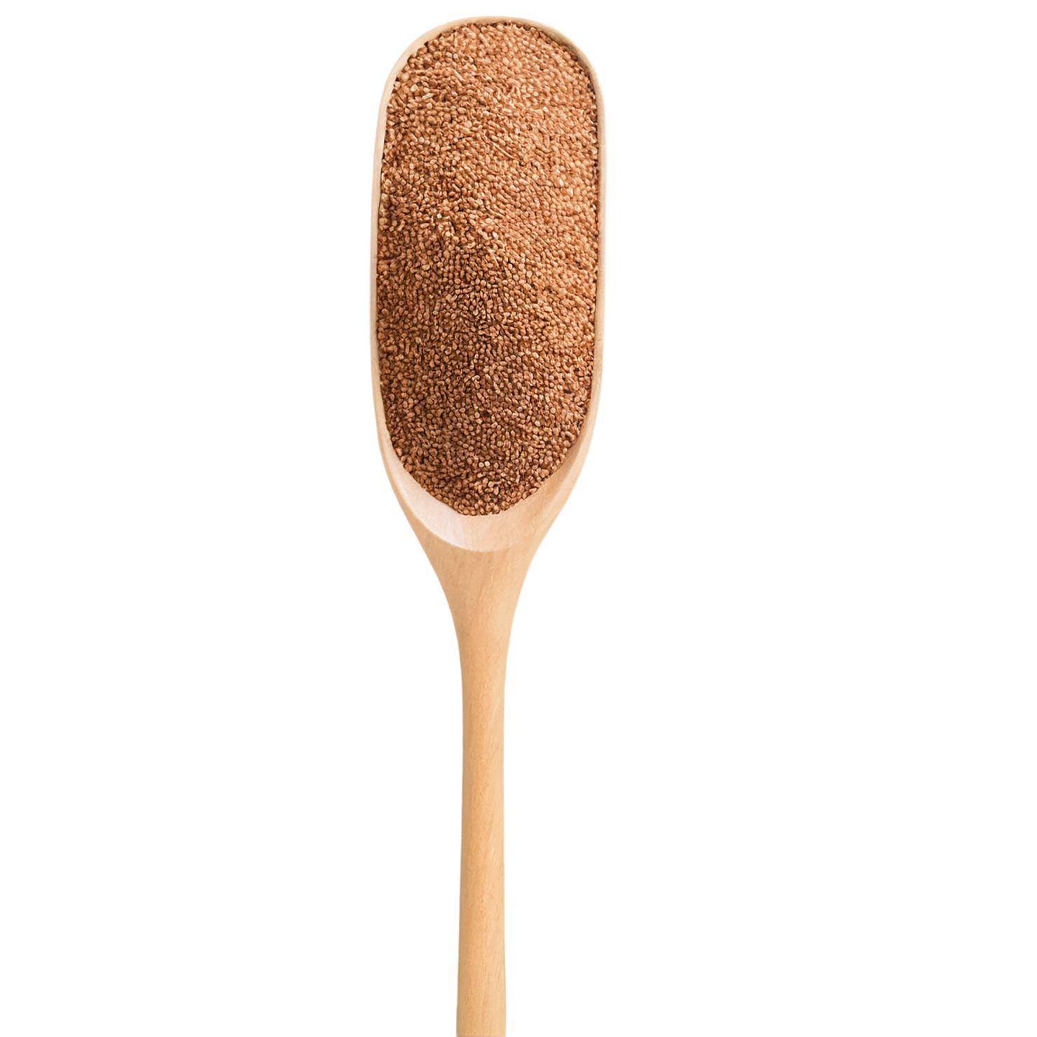 Teff grains isolated on transparent background #5486