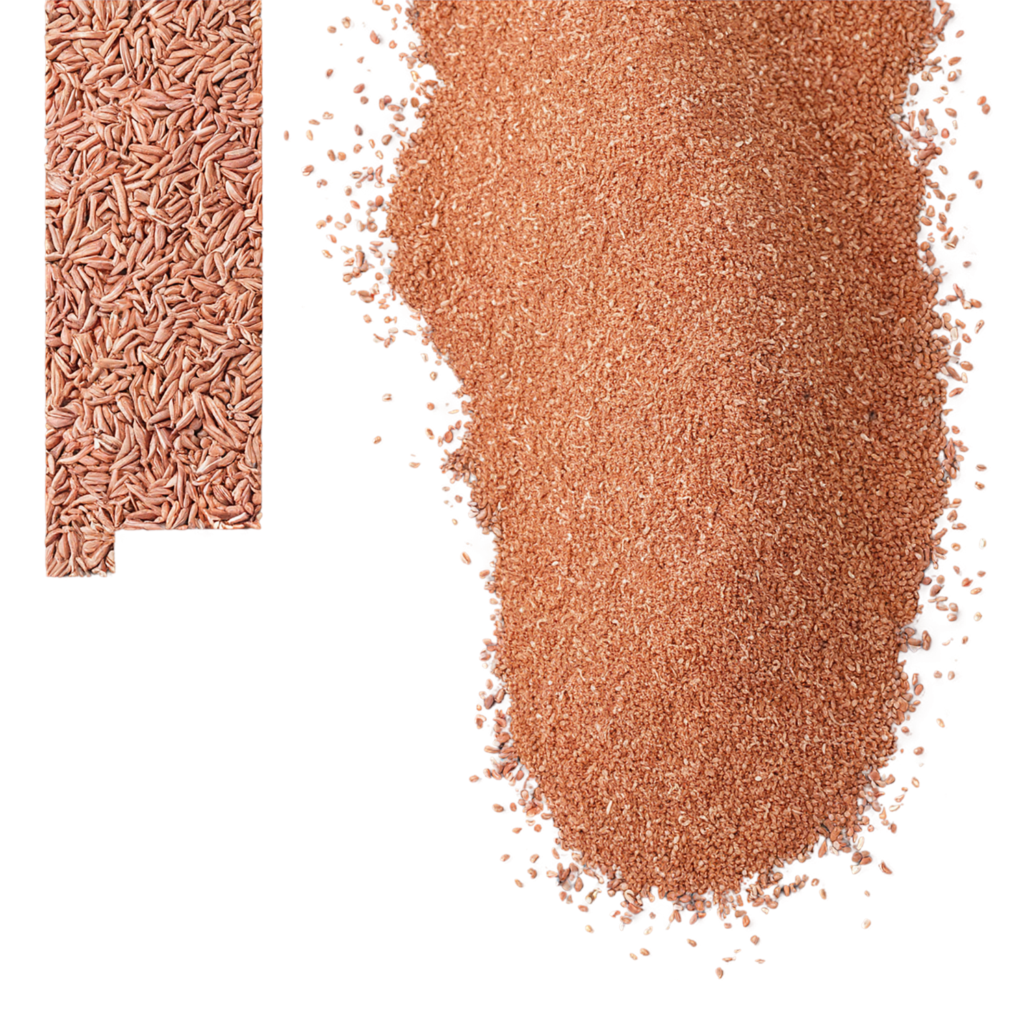 Teff grains isolated on transparent background #5489