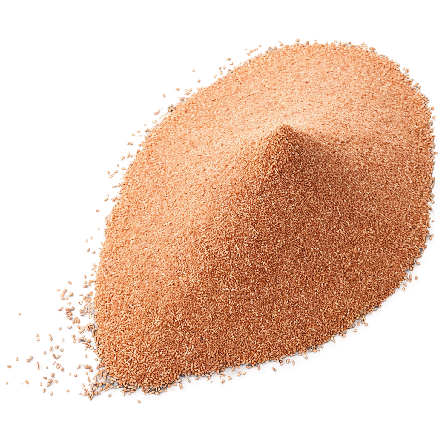Teff grains isolated on transparent background #5490