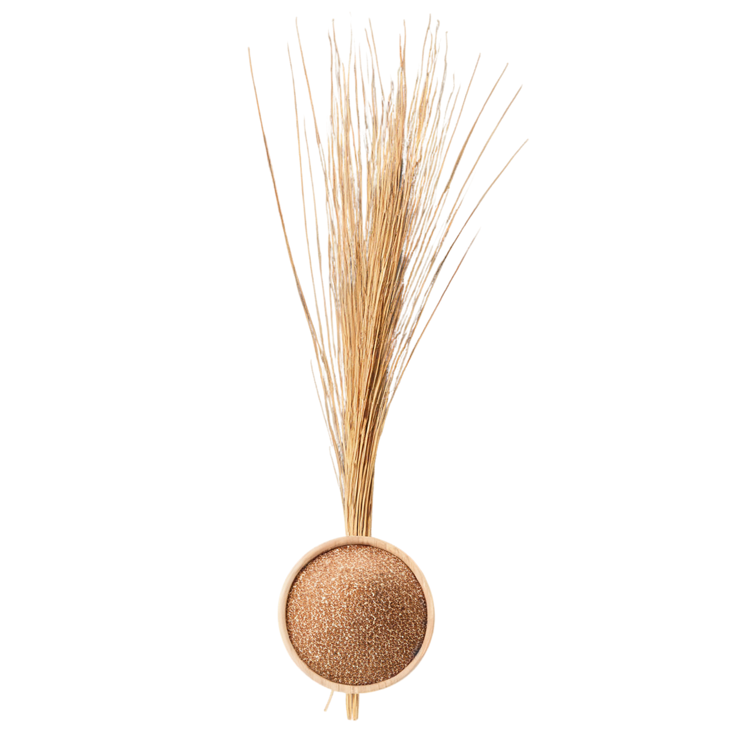 Teff grains isolated on transparent background #5491