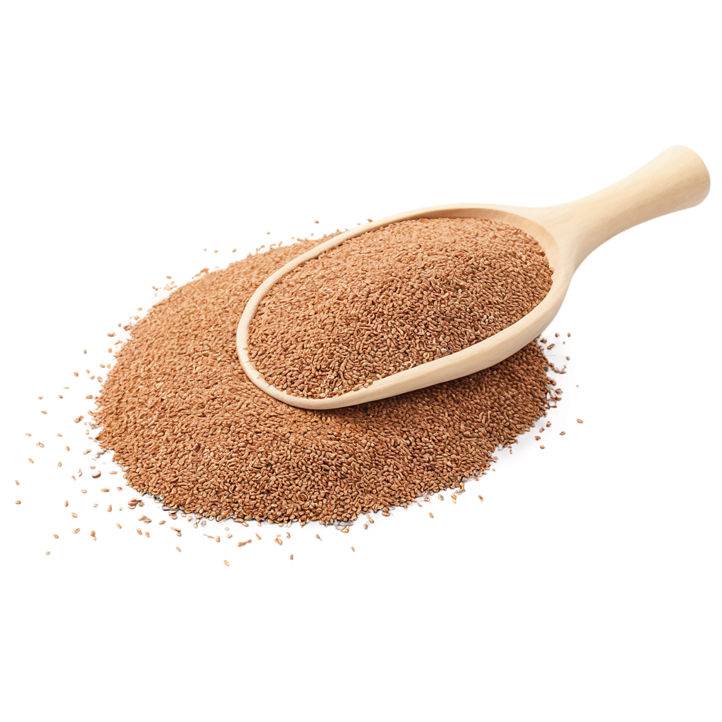 Teff grains isolated on transparent background #5493