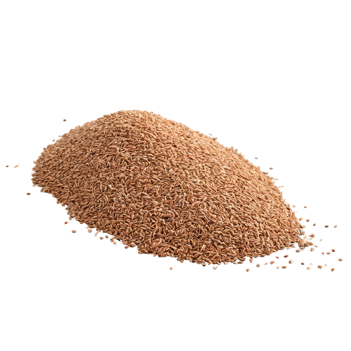 Teff grains isolated on transparent background #5498