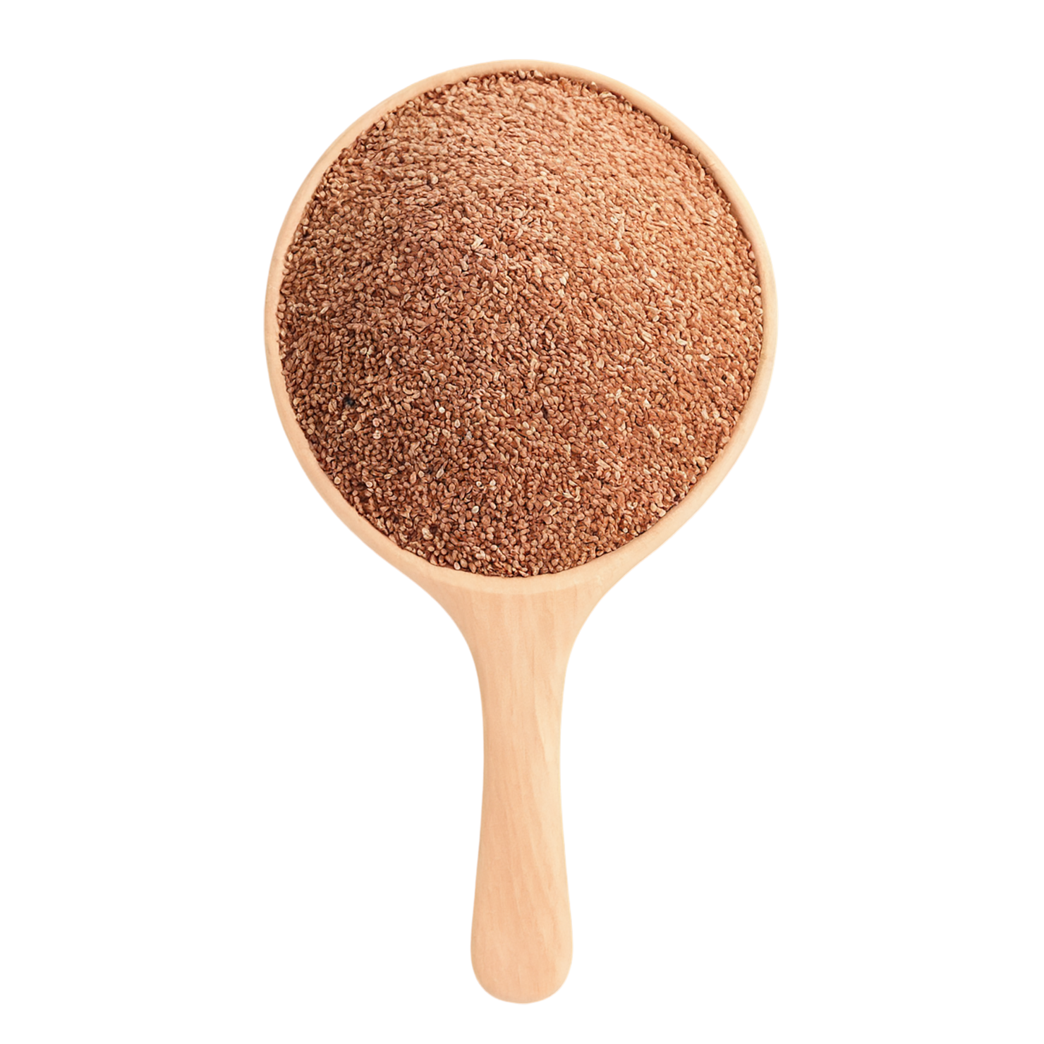 Teff grains isolated on transparent background #5500
