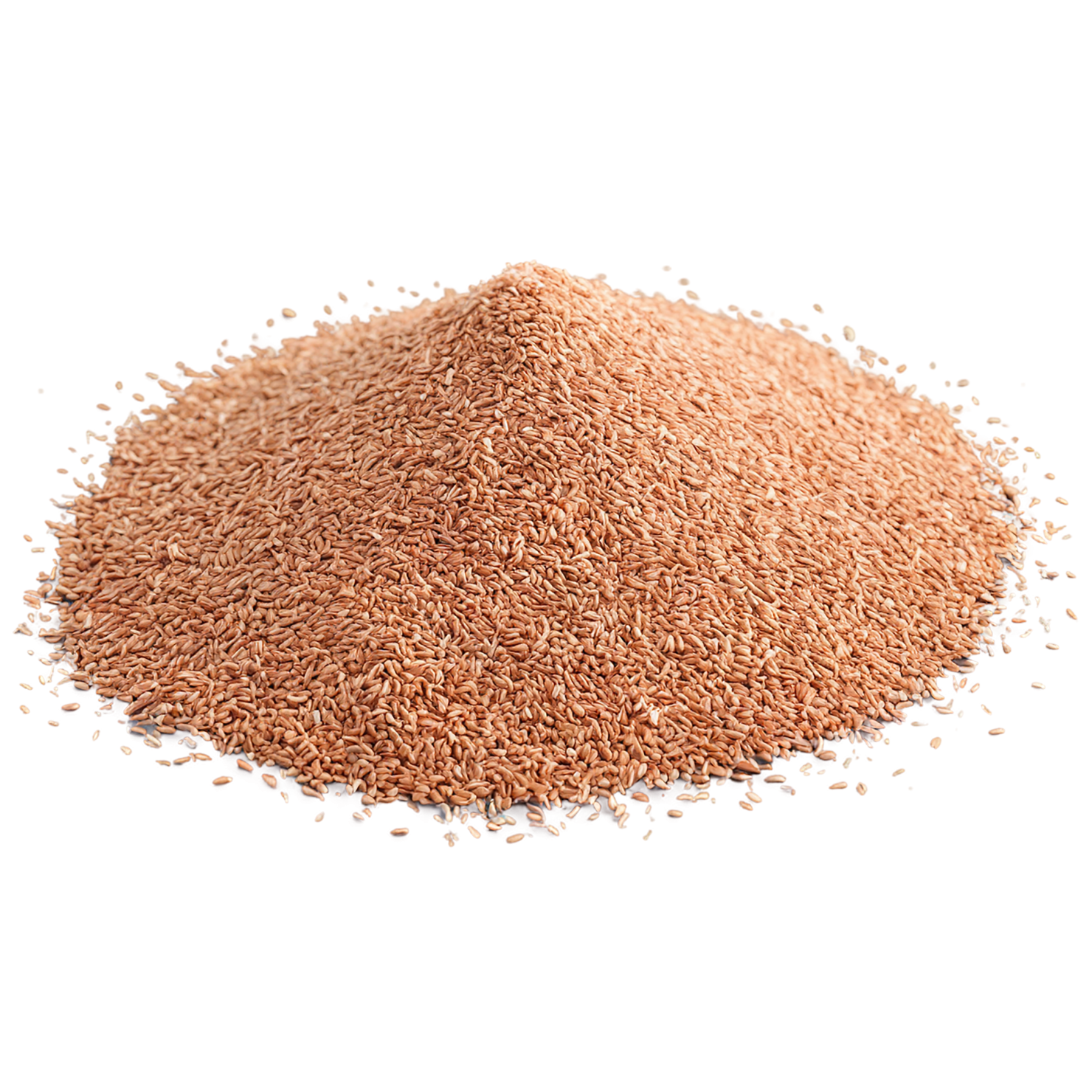 Teff grains isolated on transparent background #5502