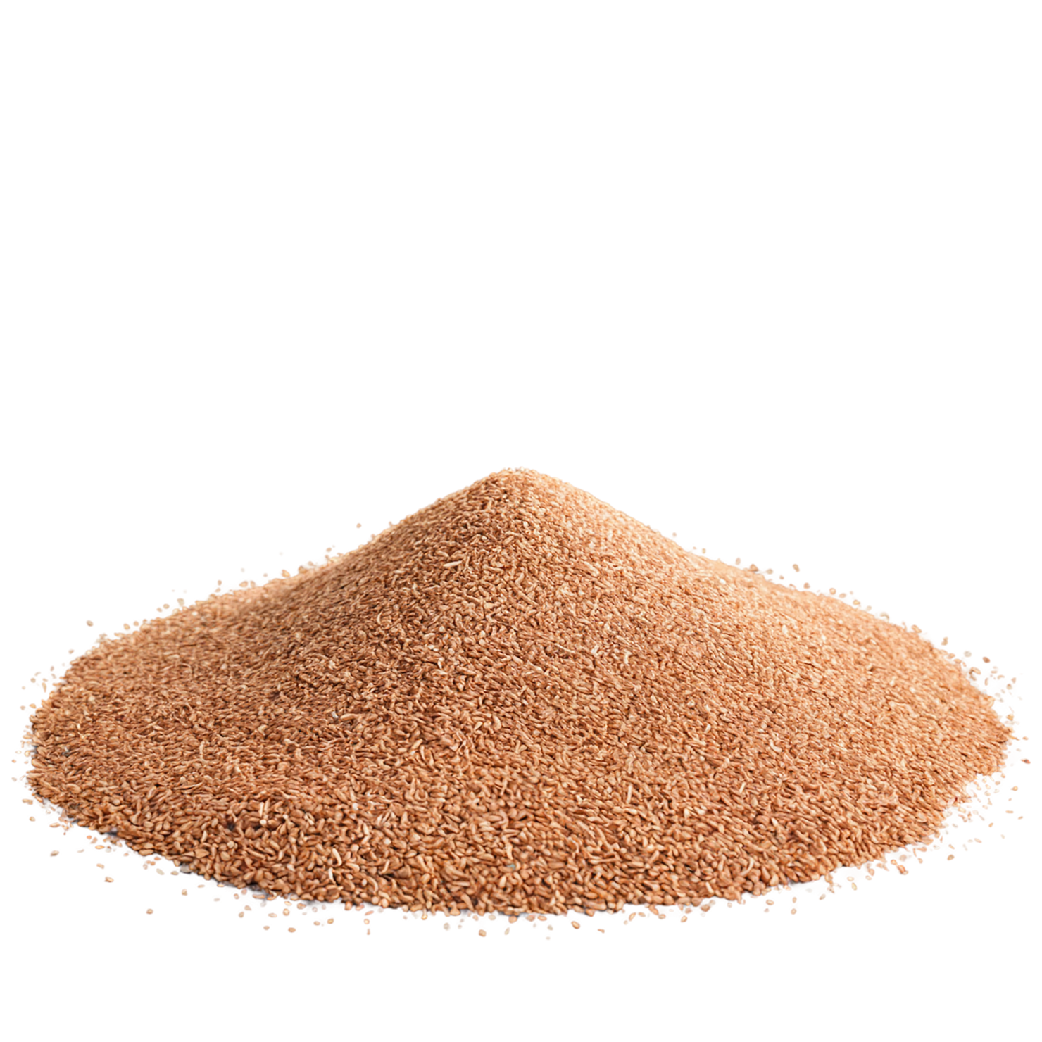 Teff grains isolated on transparent background #5505