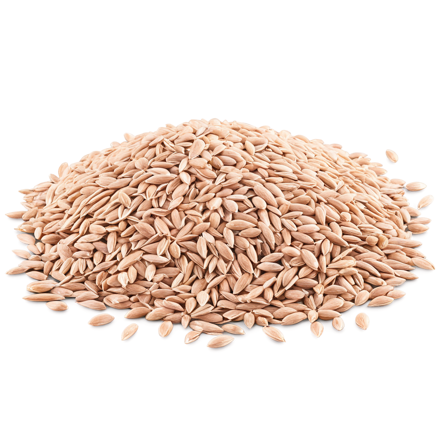 Spelt grains isolated on transparent background #5511