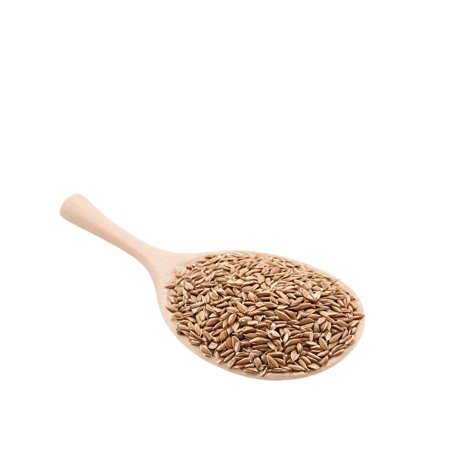 Spelt grains isolated on transparent background #5513
