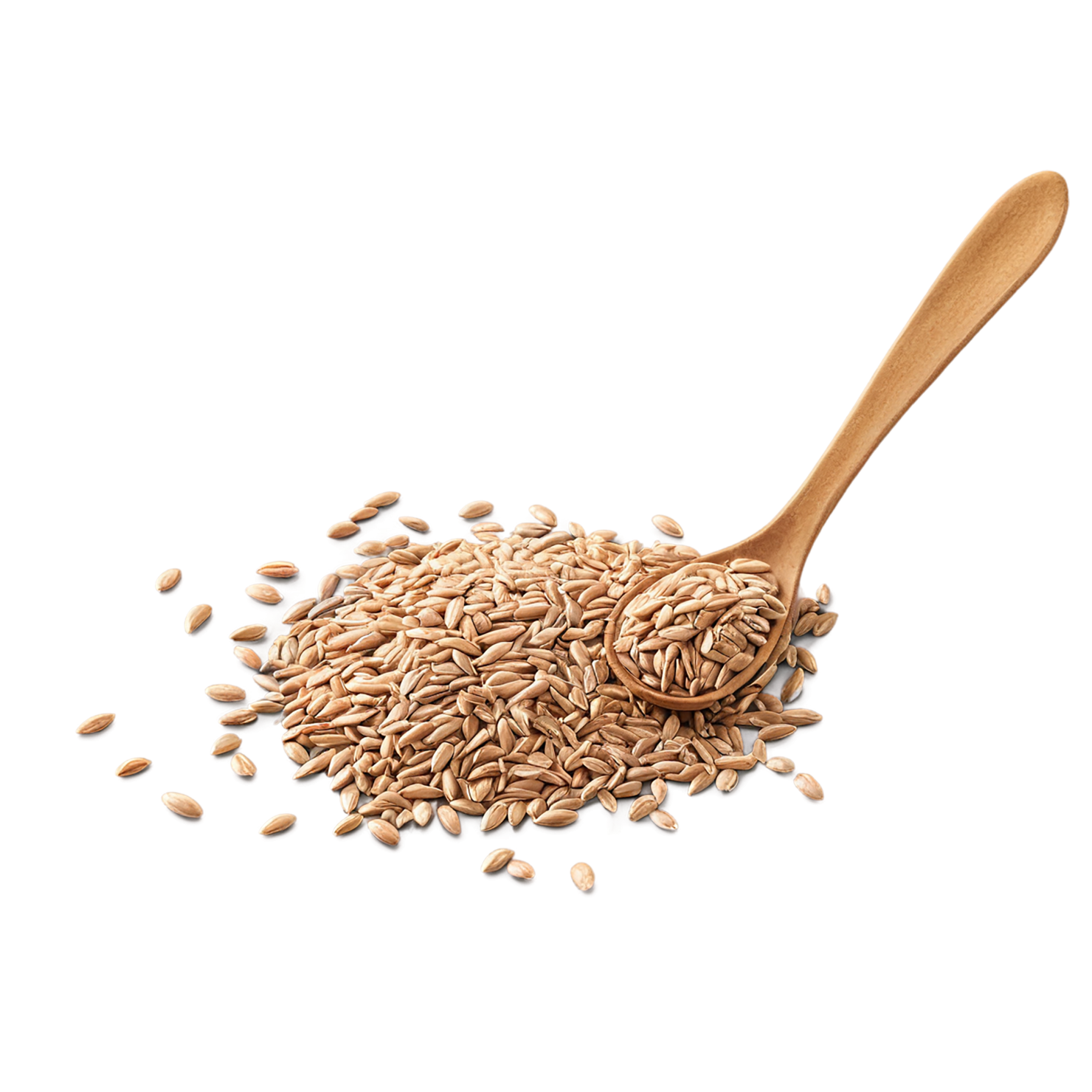 Spelt grains isolated on transparent background #5516