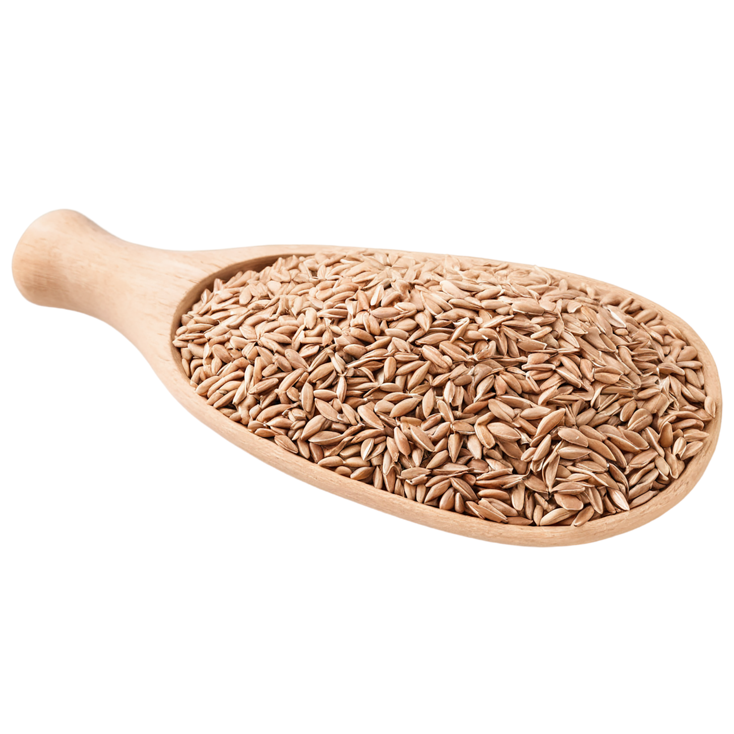 Spelt grains isolated on transparent background #5517