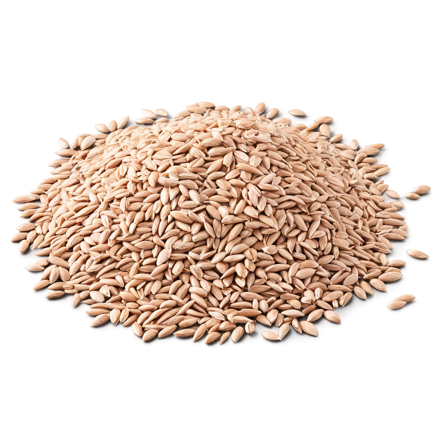 Spelt grains isolated on transparent background #5520