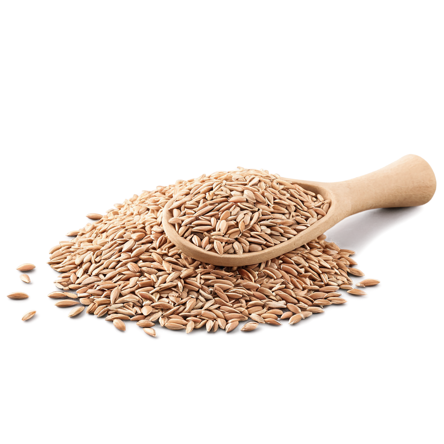 Spelt grains isolated on transparent background #5523