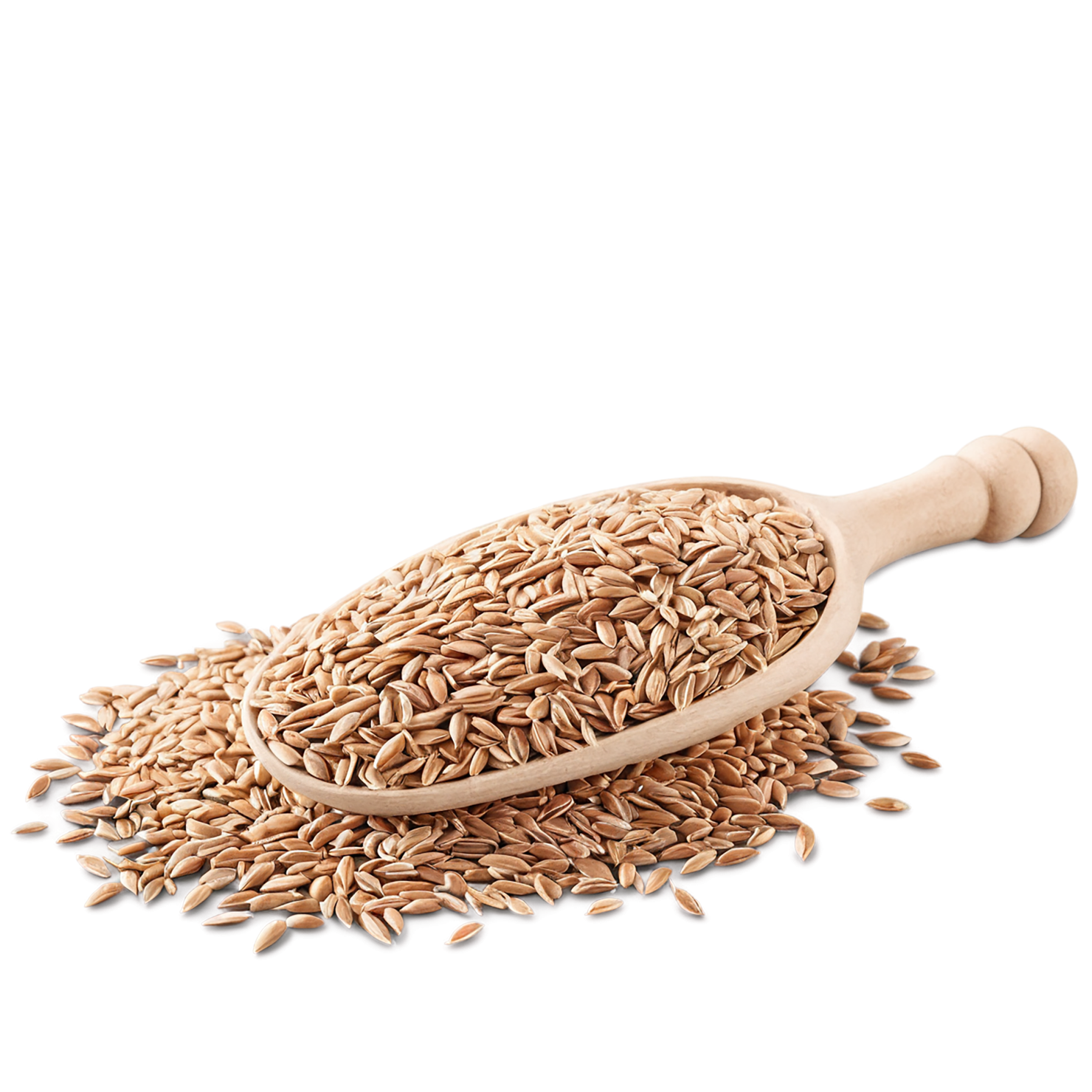 Spelt grains isolated on transparent background #5524