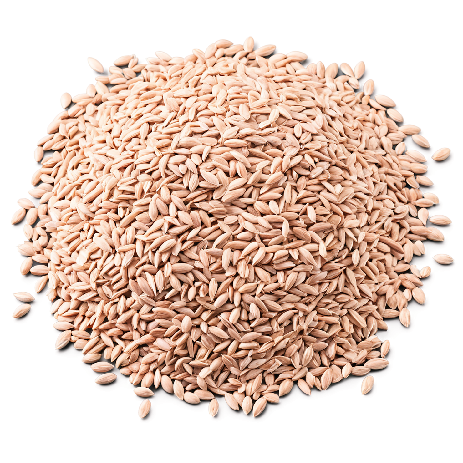 Spelt grains isolated on transparent background #5526
